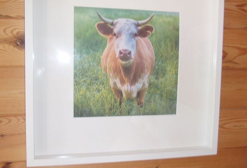 Hillview Bed And Breakfast