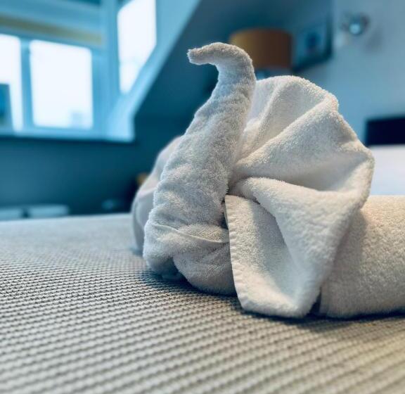 فندق Gwesty Guest House