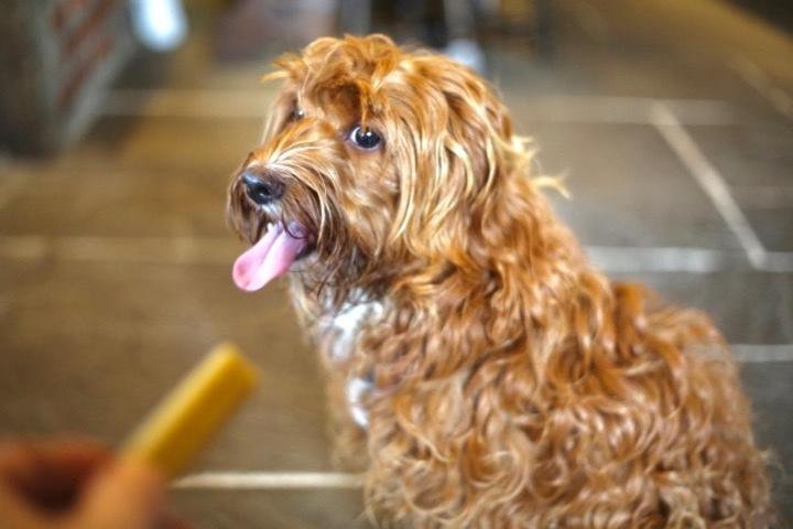 בית מלון כפרי The Harbour House Sea Front