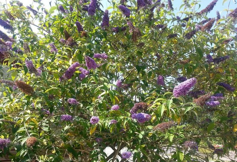 Отель Peakstones Inn