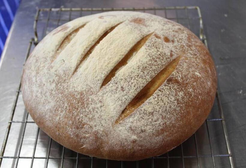 فندق The Bath Arms