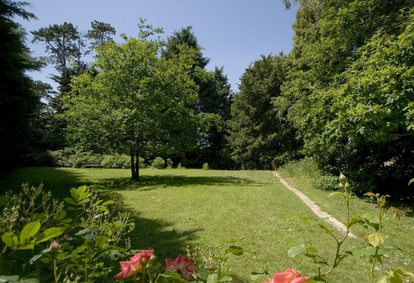 酒店 The Broadway Park