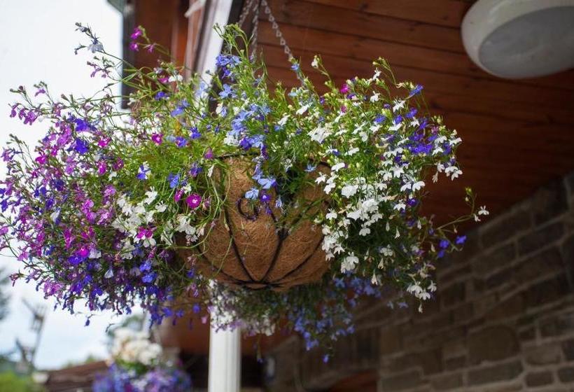 Отель The Falcon Inn Retreat