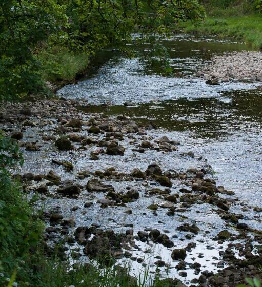 호텔 The Racehorses