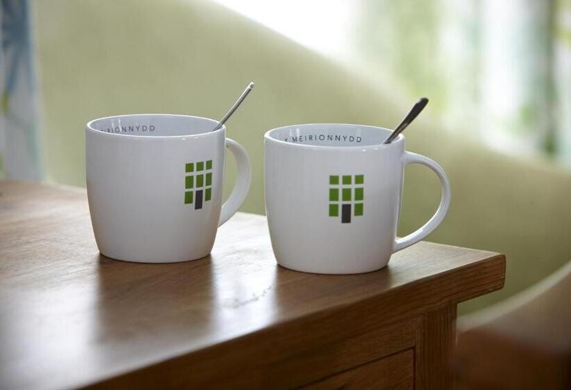 Отель Y Meirionnydd Townhouse