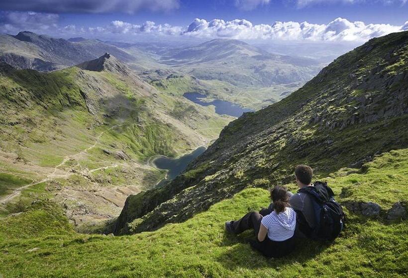 Отель Y Meirionnydd Townhouse