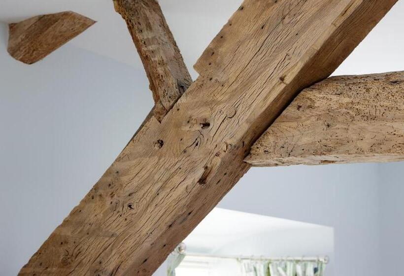 Отель Y Meirionnydd Townhouse