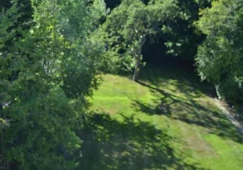 Leafy Suburban Bed And Breakfast