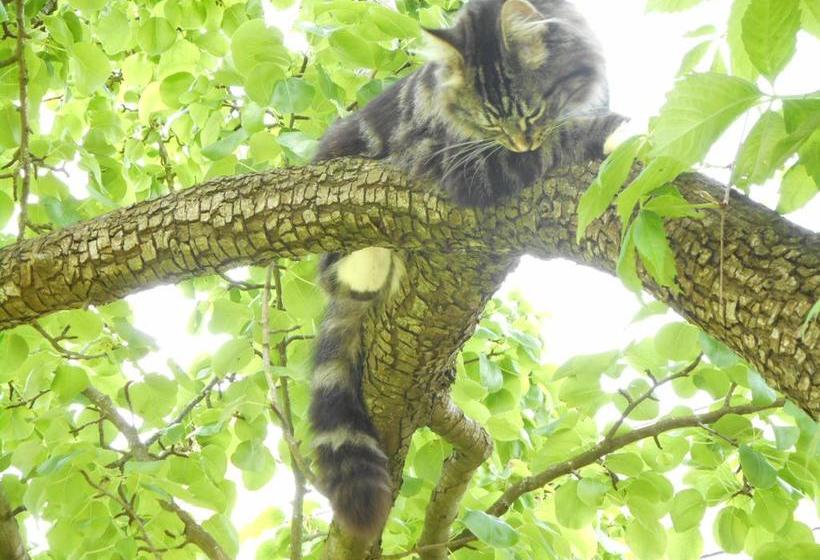 Llansabbath Country Farmhouse B&b