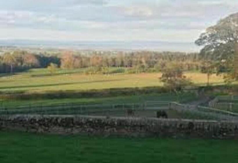 Low Gingerfield Farm B&b