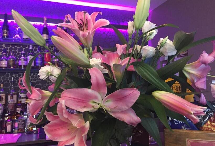 Scotch Arms Mews Bed & Breakfast