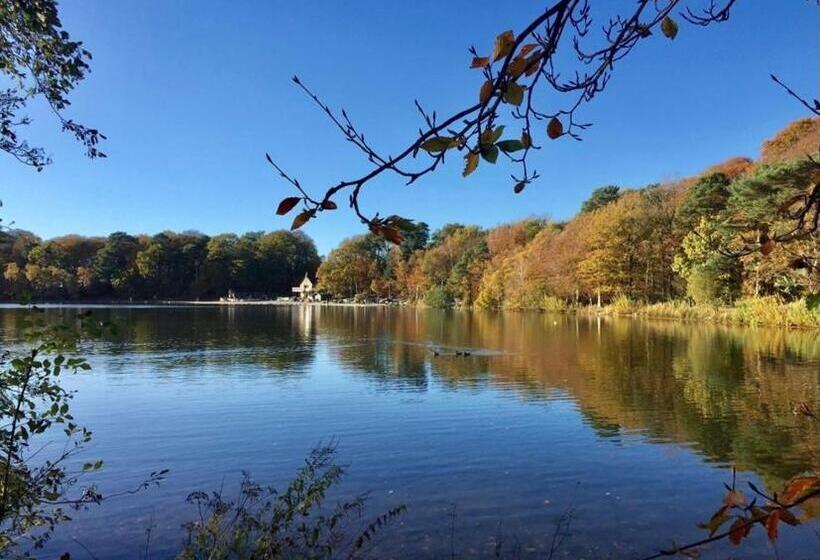 Scotch Arms Mews Bed & Breakfast