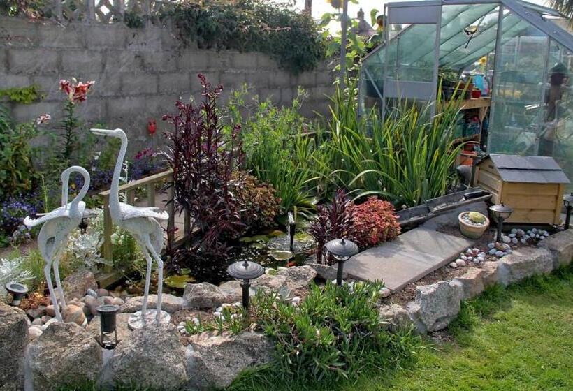 Seven Bed And Breakfast