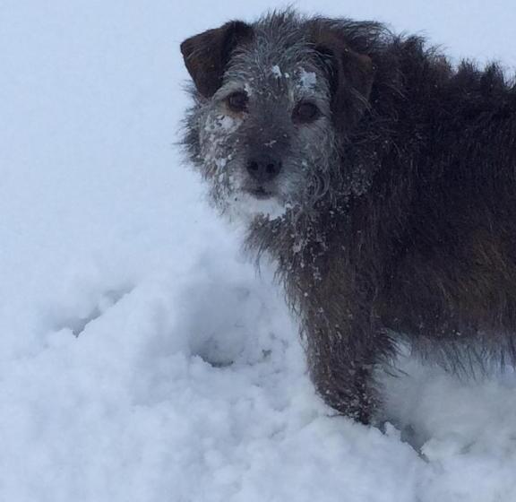 Shandon Farmhouse Bed And Breakfast