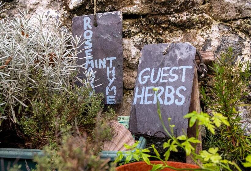 Ullapool Youth Hostel