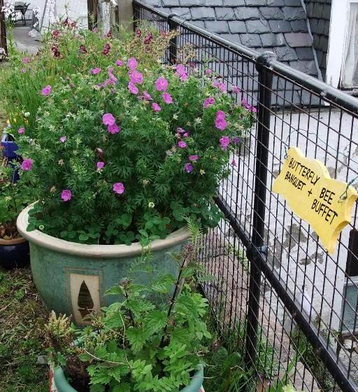 Ullapool Youth Hostel