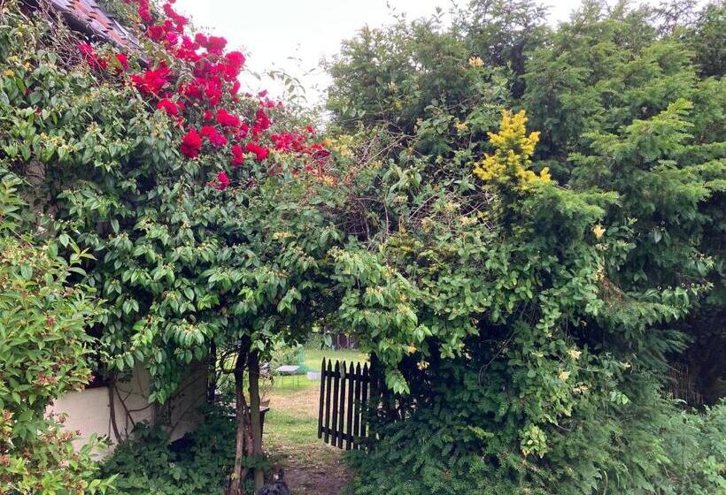 Valley Farmhouse B&b