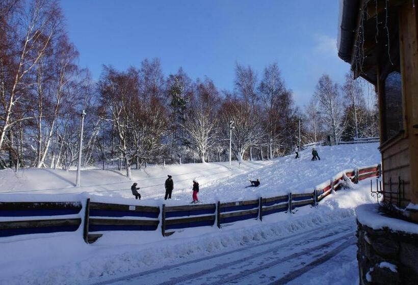 Общежитие Insh Hall