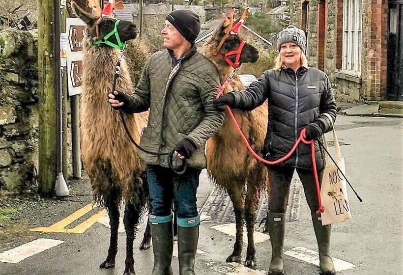 Общежитие The Eagles Bunkhouse