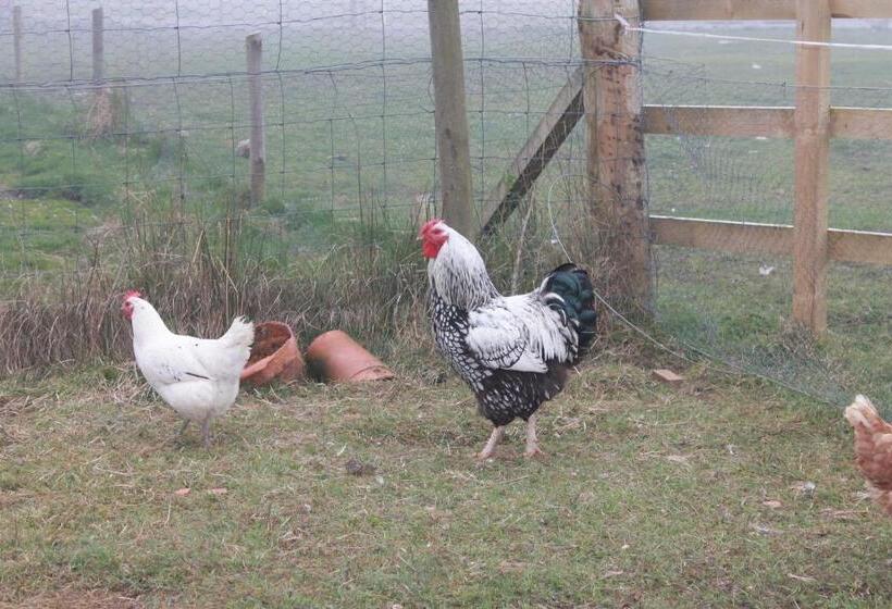 مبيت وإفطار Ach Na Sidhe