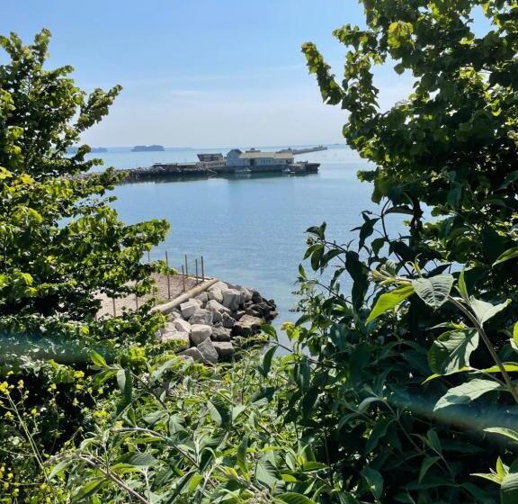 צימר Bayliss Hall Guesthouse