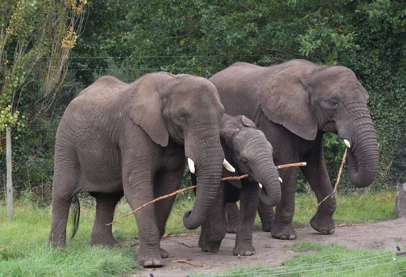 مبيت وإفطار Bewdley Hill House