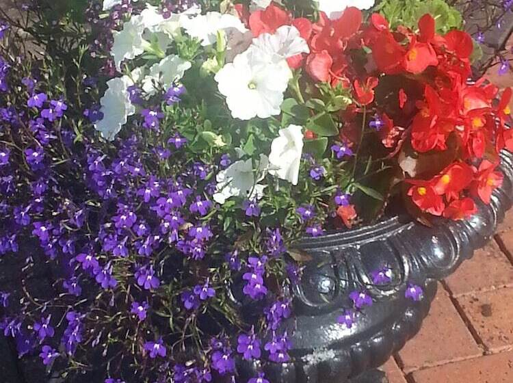 住宿加早餐  Bewdley Hill House