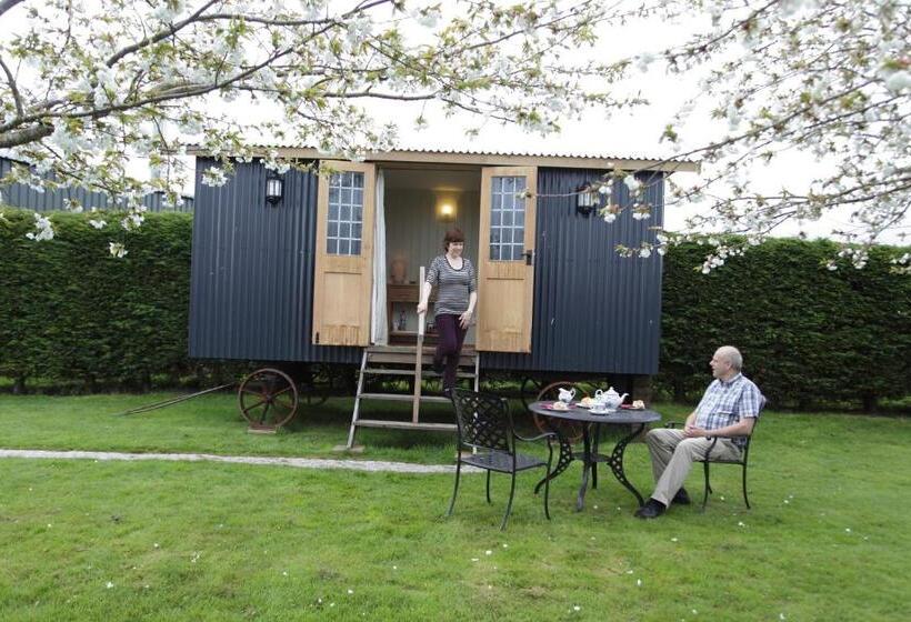 住宿加早餐  Blackmore Farm