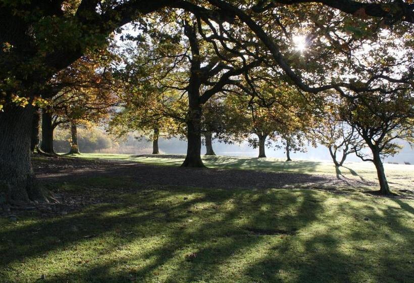 Bed and Breakfast Bluestones