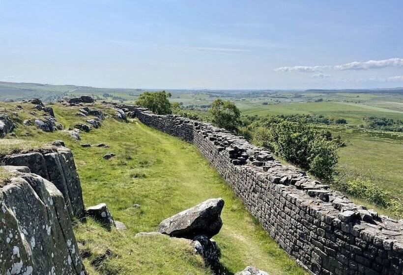 住宿加早餐 Bojangles Guest House