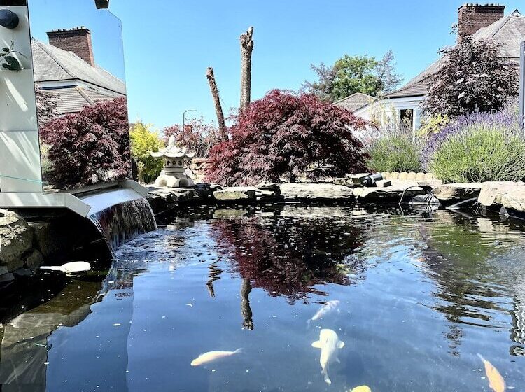 住宿加早餐 Bojangles Guest House