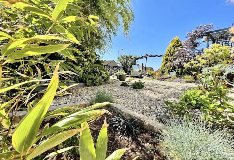 مبيت وإفطار Bojangles Guest House
