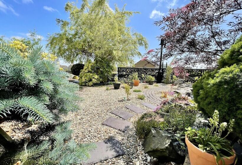 住宿加早餐 Bojangles Guest House