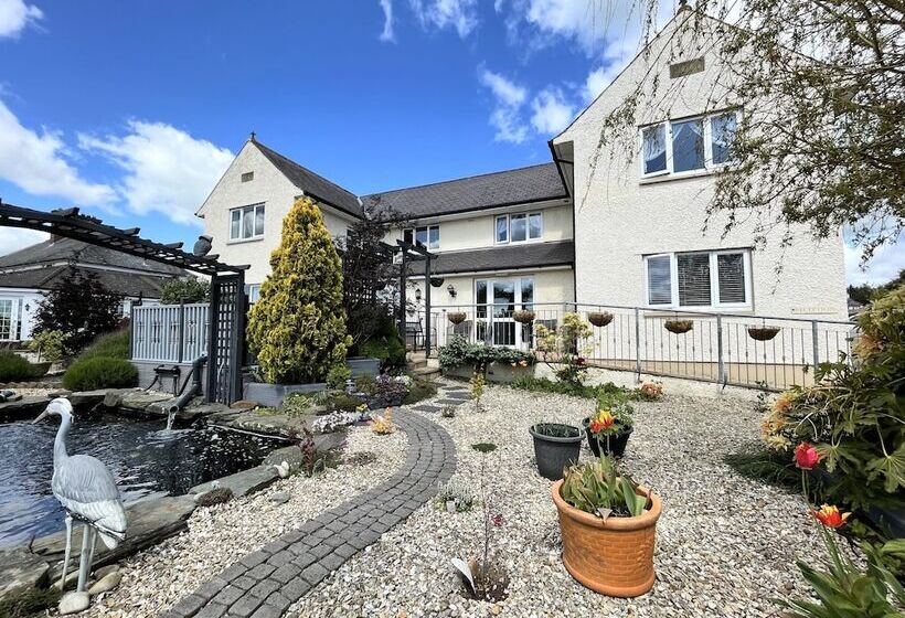 住宿加早餐 Bojangles Guest House