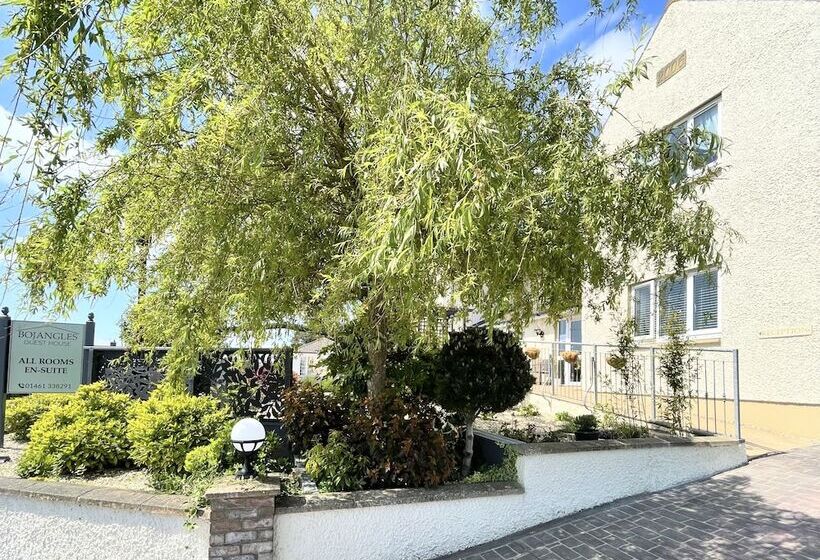 مبيت وإفطار Bojangles Guest House