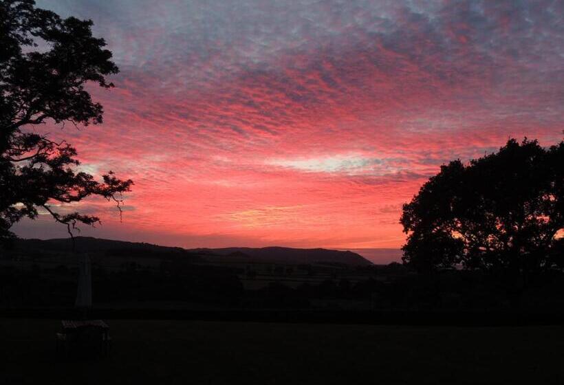 مبيت وإفطار Cedar House