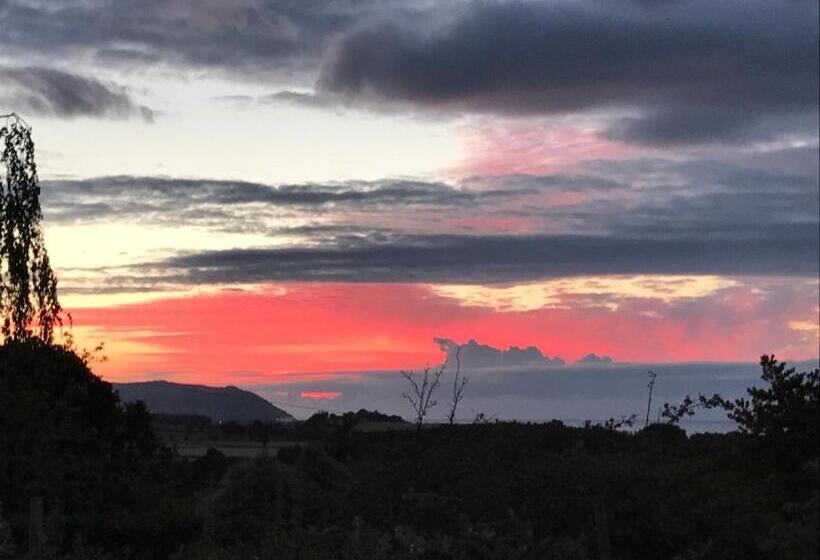 مبيت وإفطار Cedar House