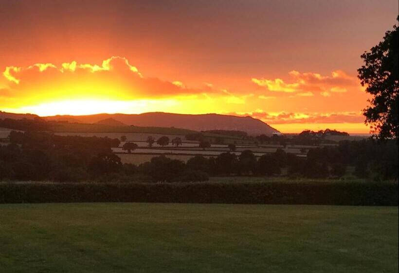 مبيت وإفطار Cedar House