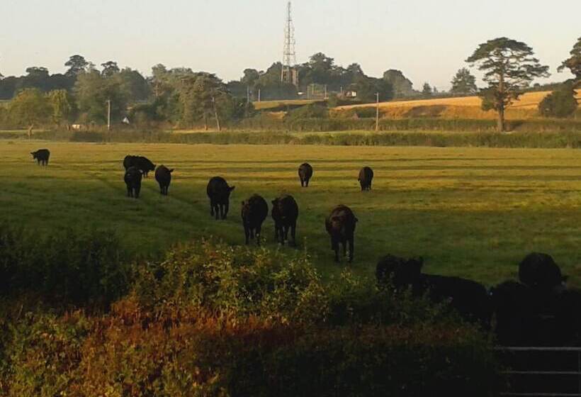 تختخواب و صبحانه Courtbrook Farm