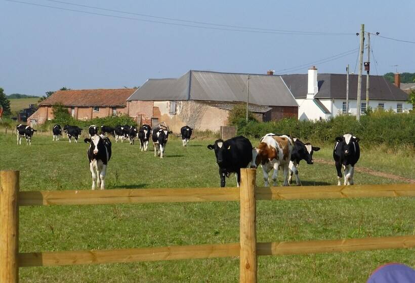 تختخواب و صبحانه Courtbrook Farm