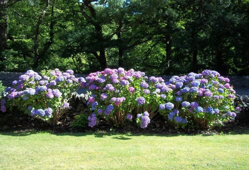 Bed and Breakfast Glenwood Guesthouse Betws Y Coed