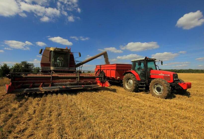 צימר Highfield Farm