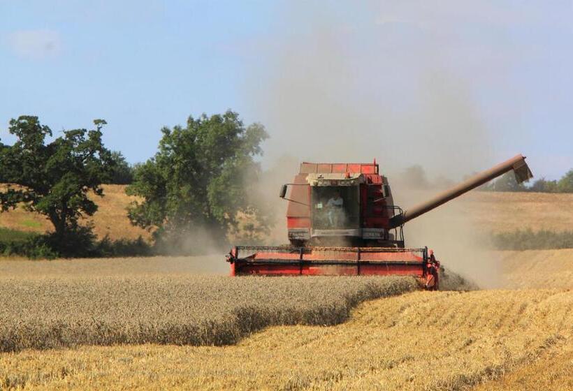 צימר Highfield Farm