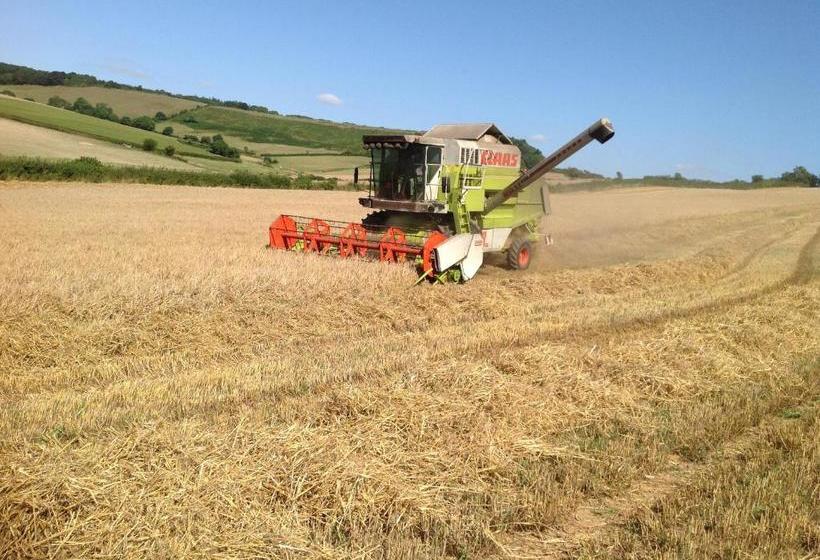 مبيت وإفطار Lower Pinn Farm