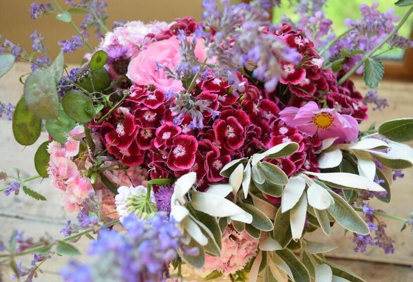 민박 Nantgwynfaen Organic Farm Wales