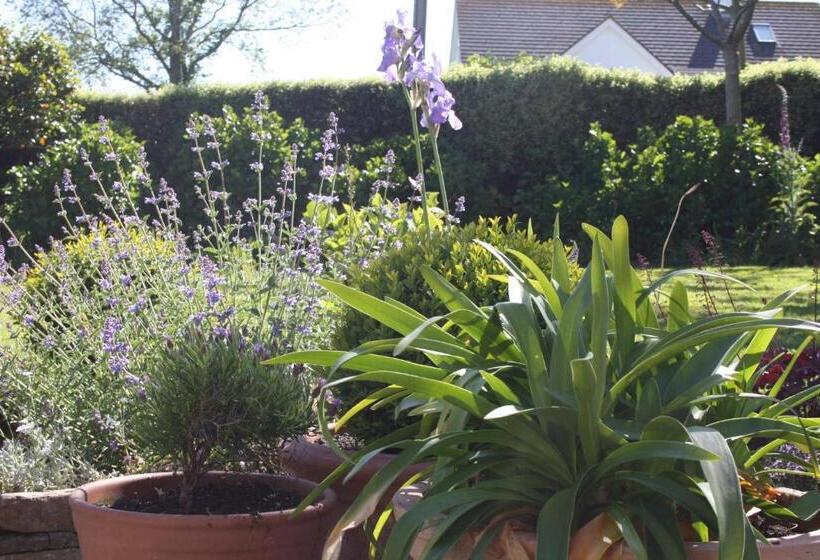 تختخواب و صبحانه Nearwater