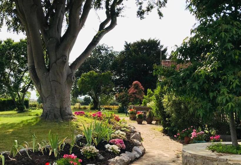 צימר Octon Lodge