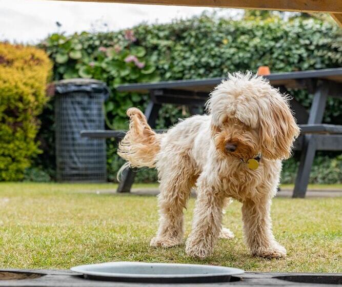 مبيت وإفطار Pollards Inn