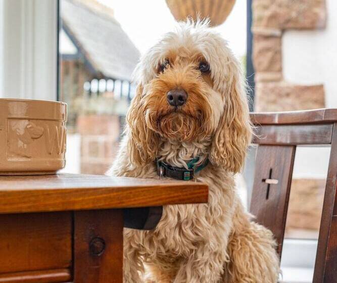 مبيت وإفطار Pollards Inn