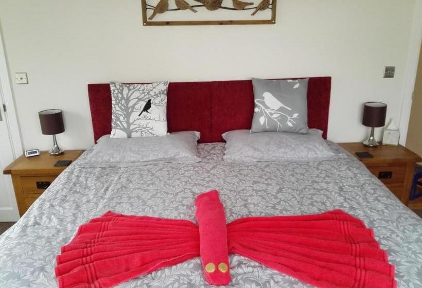 Bed and Breakfast Rowan Lodge